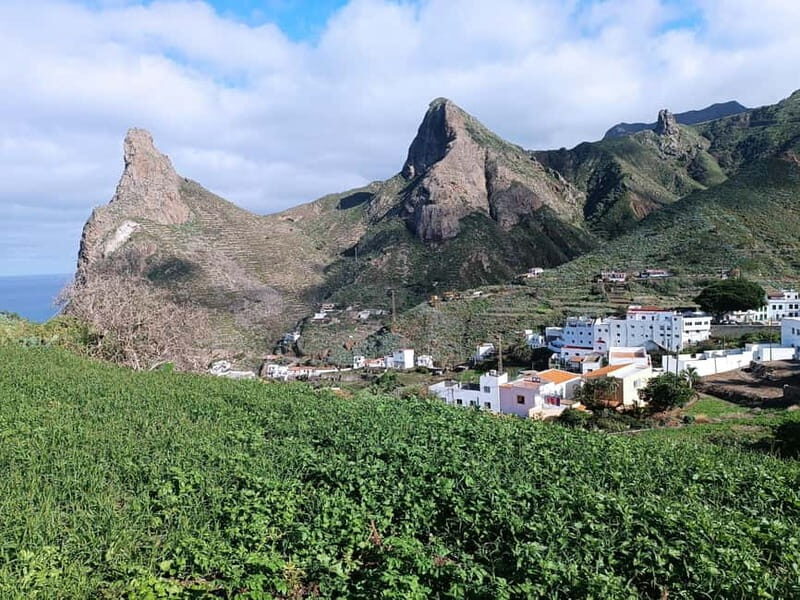 Tenerife-Puerto Cruz: Avatar Hiking, Bajamar and Cocktail - A Deep Dive into the Tenerife Adventure