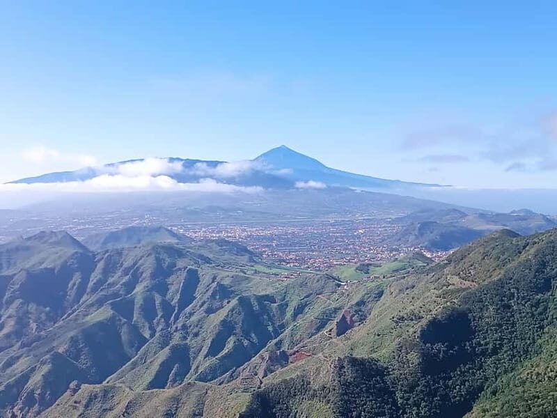 Tenerife-Puerto Cruz: Avatar Hiking, Bajamar and Cocktail - Who Will Love This Tour?