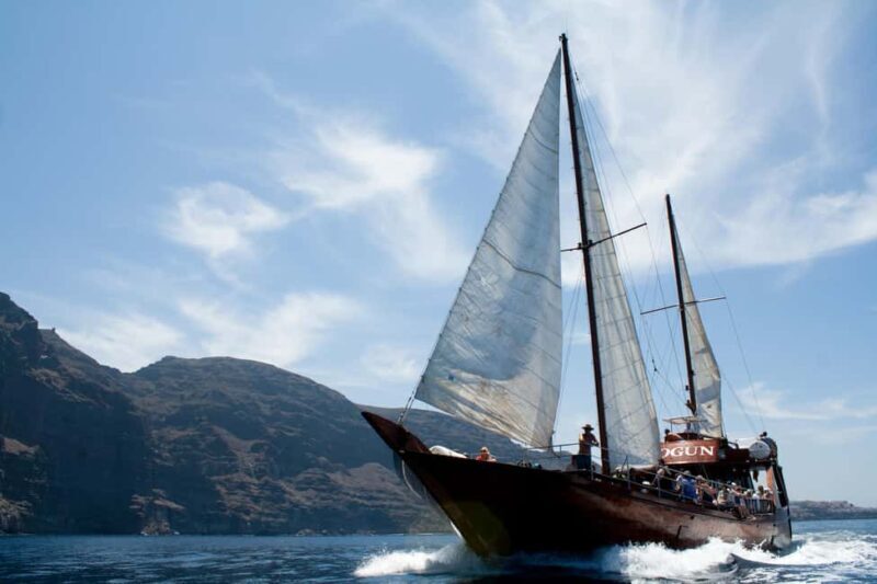 Tenerife: Respectful Whale Watching Pirate Cruise + Swim - Who Should Consider This Tour?