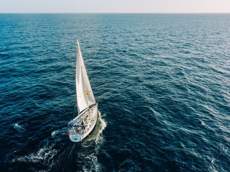 Tenerife: Sailboat Tour Whale Watching Food and Snorkeling - An Up-Close Look at the Experience