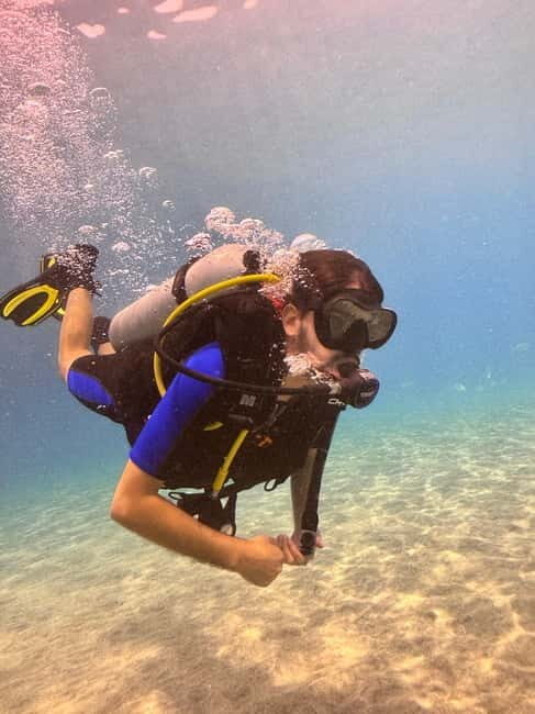 Tenerife: Scuba Dive & Fun, Discover the Magic of the Ocean - Who Will Love This Experience?