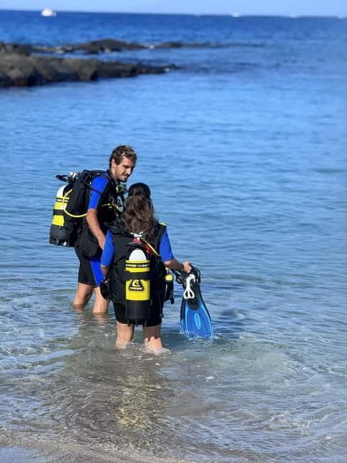 Tenerife: Scuba Dive & Fun, Discover the Magic of the Ocean - Final Thoughts: Who Should Consider This Tour?