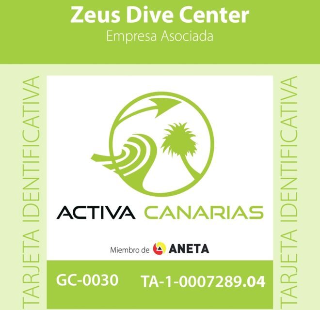 Tenerife Scuba Diving for Certified Divers - What’s Included and What’s Not