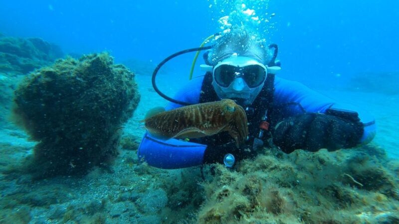 Tenerife: Scuba Diving Lesson and Abades Protected Area Dive - FAQ