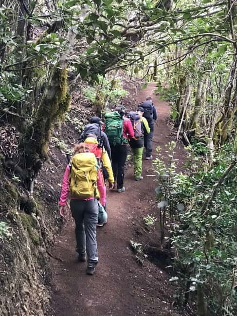 Tenerife: Senderismo Anaga, Bosque Mágico, Reserva Biosfera - Breaking Down the Itinerary
