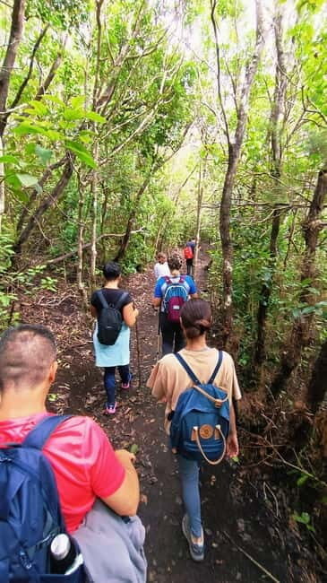Tenerife: Senderismo Anaga, Bosque Mágico, Reserva Biosfera - Who Would Enjoy This Tour?