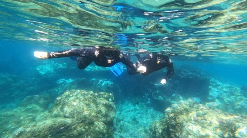 Tenerife: Snorkeling Tour in a Marine Protected Area - Experience Breakdown