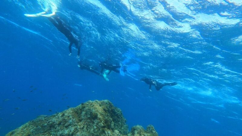 Tenerife: Snorkeling Tour in a Marine Protected Area - Final Thoughts
