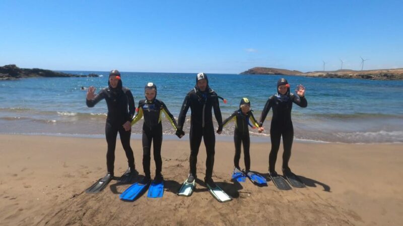 Tenerife: Snorkeling Tour in a Marine Protected Area - Summary