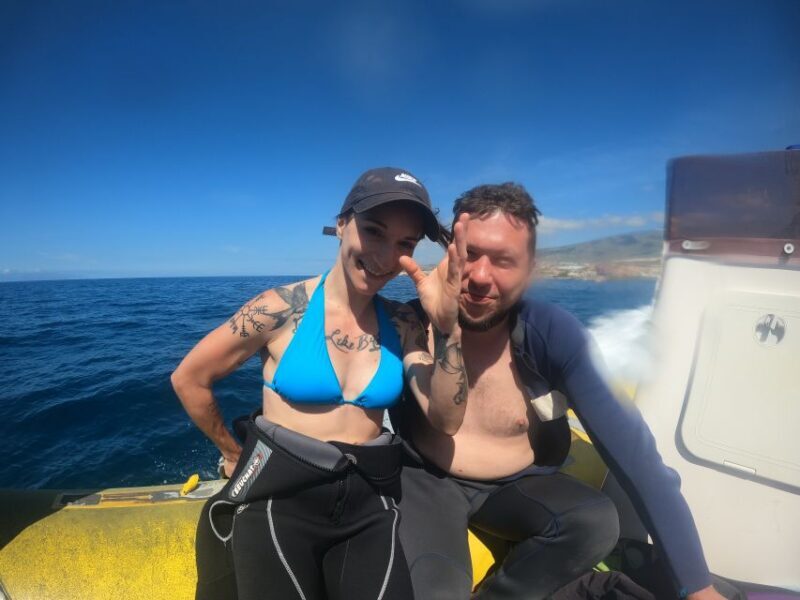 Tenerife: Snorkeling Trip in a Turtle Habitat - The Experience in Detail