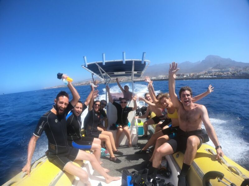 Tenerife: Snorkeling Trip in a Turtle Habitat - The Wildlife You Might Encounter