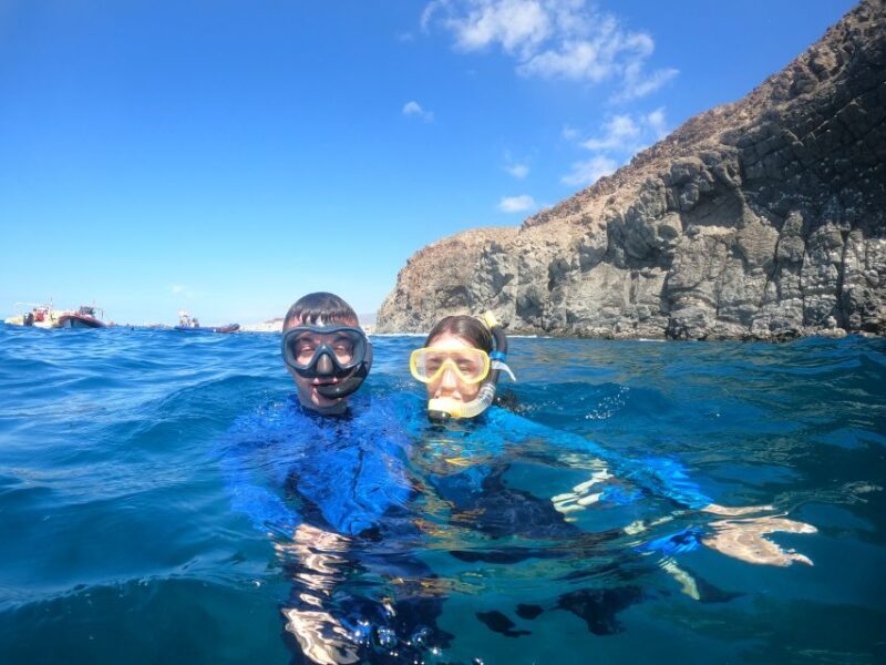 Tenerife: Snorkeling Trip in a Turtle Habitat - Who Would Love This Tour?