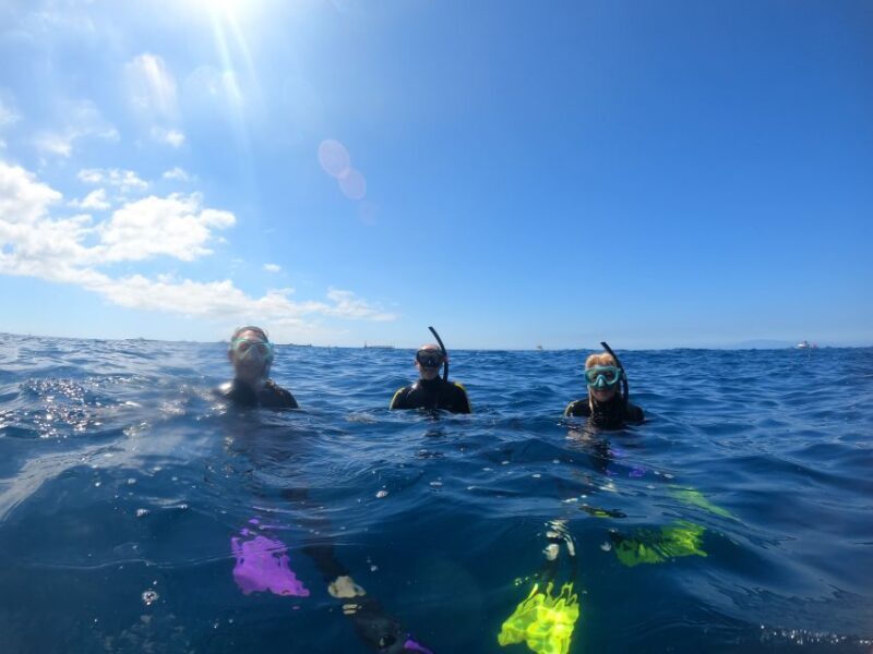 Tenerife: Snorkeling Trip in a Turtle Habitat - Frequently Asked Questions