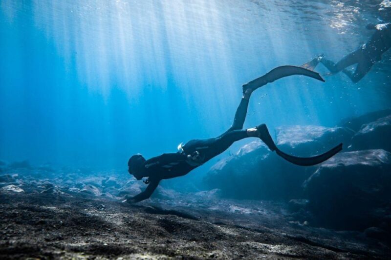 Tenerife : Snorkeling underwater with freediving Instructor - What to Expect from This Tenerife Snorkeling Tour