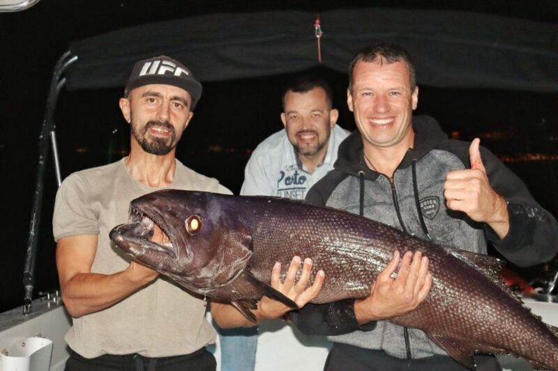 Tenerife: South Island Boat-Trip and Sea Excursion - Key Points