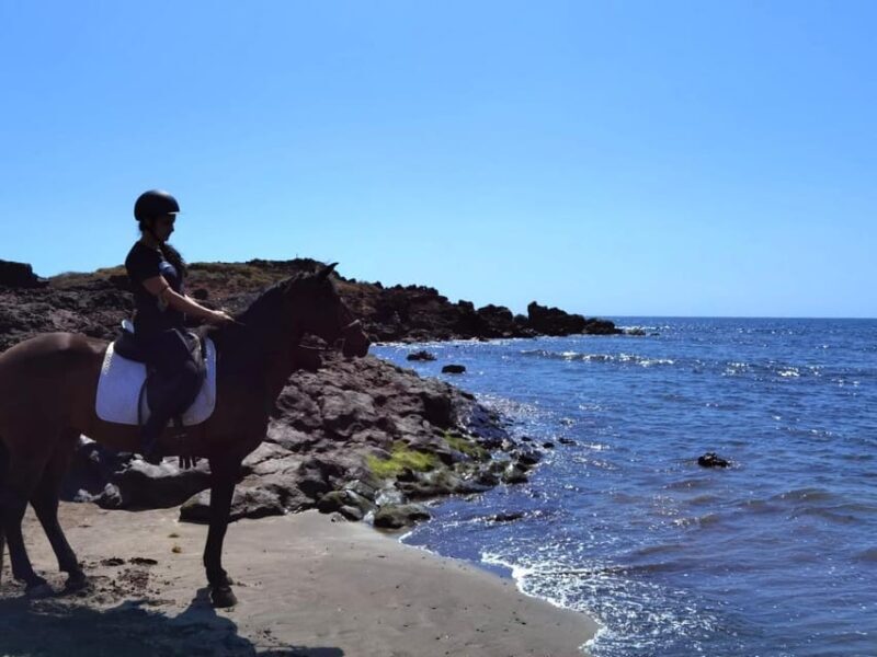 Tenerife South: Private Horseback Riding to the Coast - Key Points