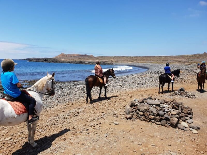 Tenerife South: Private Horseback Riding to the Coast - An Authentic Ride with a Personal Touch