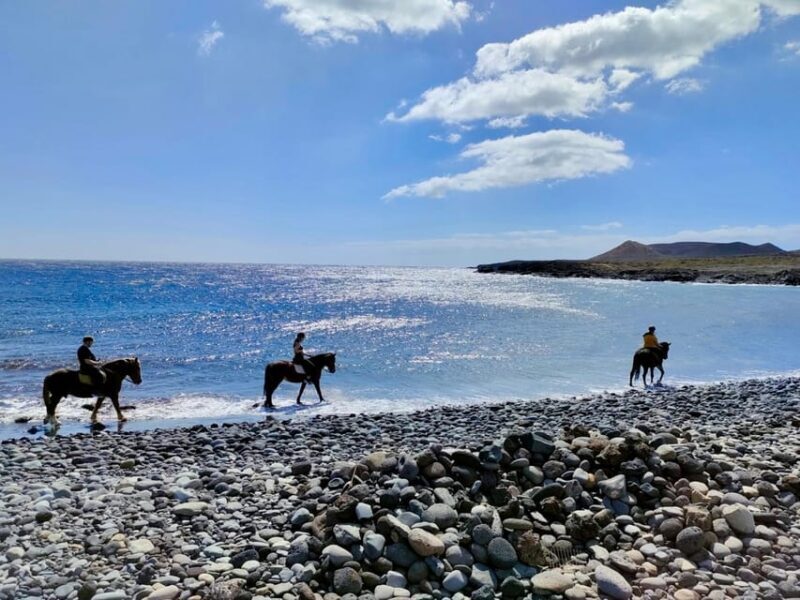 Tenerife South: Private Horseback Riding to the Coast - Authentic Experiences and Personal Touches