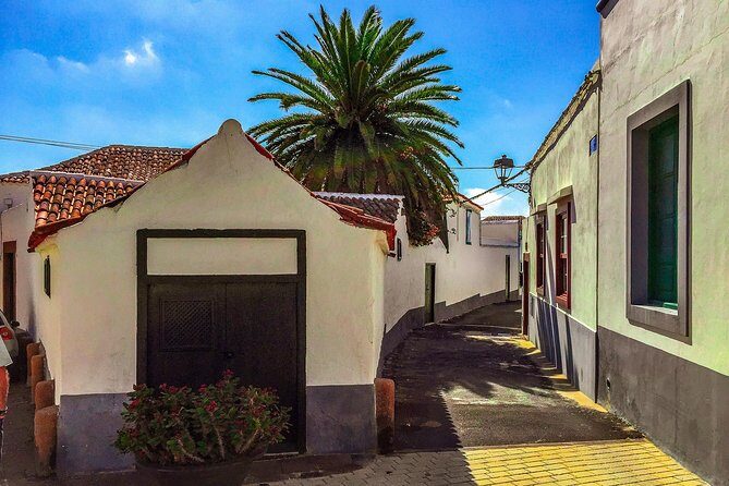 Tenerife South Private Tour: Secrets of the Volcanoes - Why Choose This Tour?