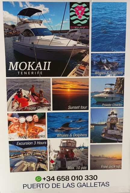 Tenerife south: safari with luxury boat , animals encounters - An in-depth Look at the Tenerife Luxury Boat Safari