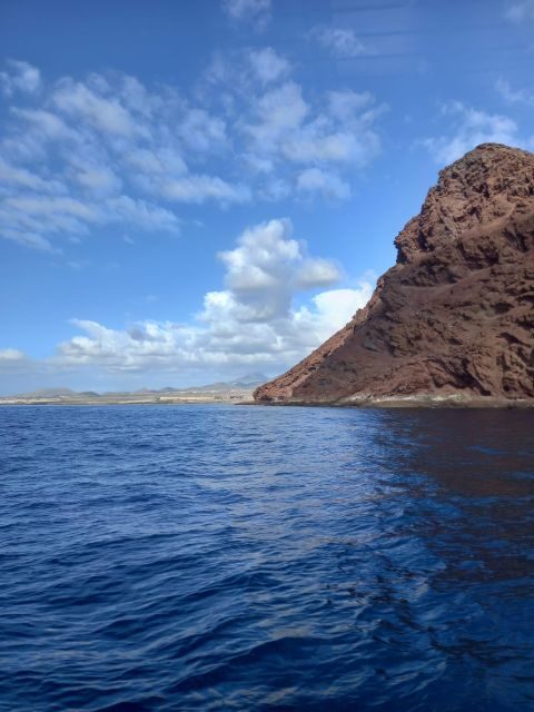 Tenerife south: safari with luxury boat , animals encounters - FAQ