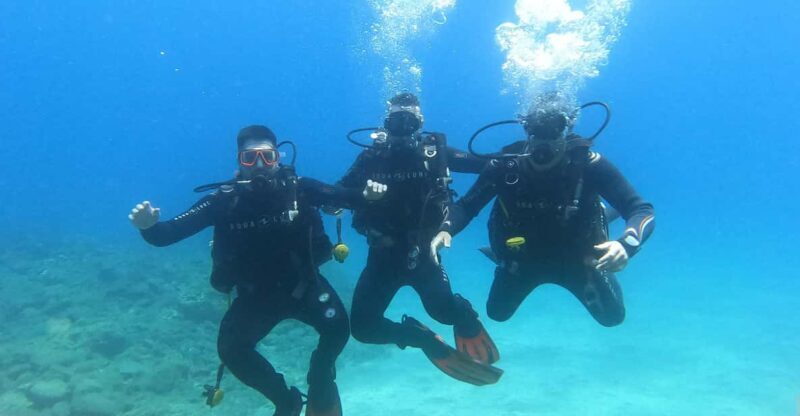 Tenerife south: Scuba Dive for beginners in Adeje - Key Points