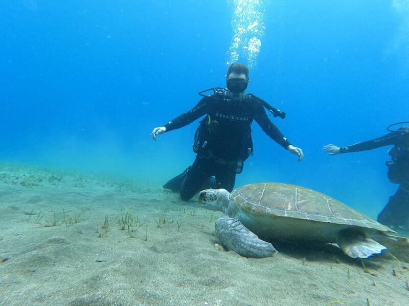 Tenerife south: Scuba Dive for beginners in Adeje - The Complete Experience of Tenerifes Beginner Scuba Tour