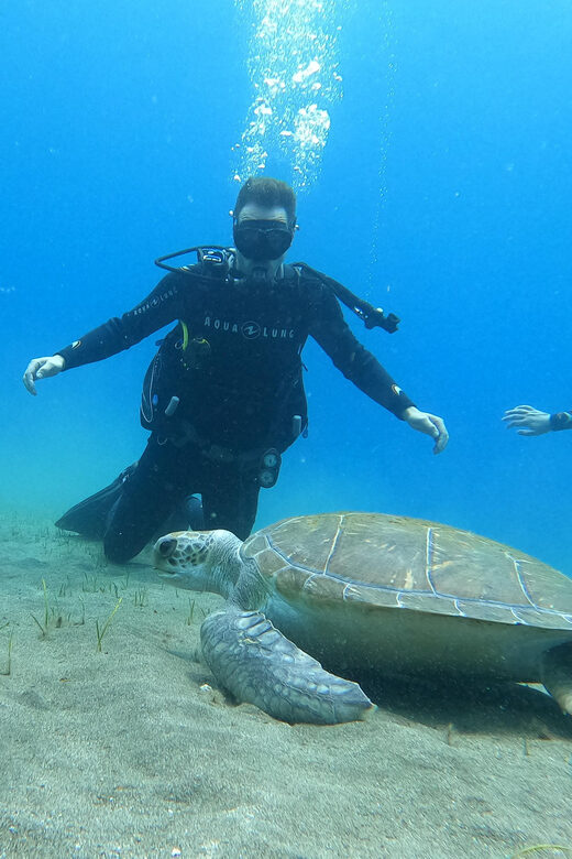 Tenerife south: Scuba Dive for beginners in Adeje - Theoretical Briefing: Laying the Foundation