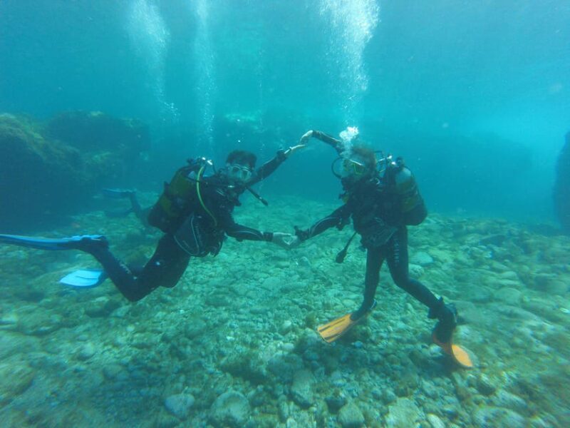 Tenerife south: Scuba Dive for beginners in Adeje - The Highlight: The Actual Underwater Experience