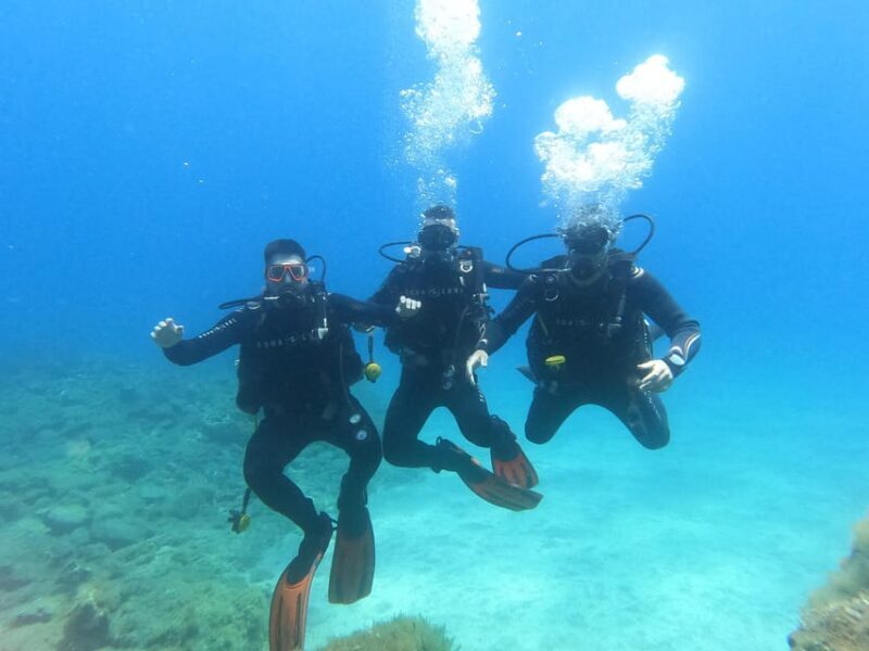 Tenerife south: Scuba Dive for beginners in Adeje - Comfort and Safety