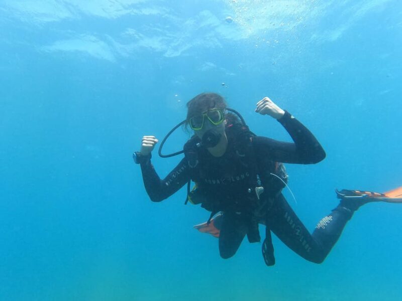 Tenerife south: Scuba Dive for beginners in Adeje - Who Will Enjoy This Experience?