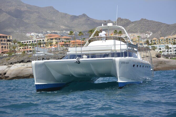 Tenerife Sunset Catamaran tour with transfer - Food and Drinks included. - FAQ
