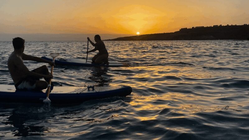 Tenerife: Sunset Stand-Up Paddleboarding Tour - An Authentic Sunset Paddleboarding Experience