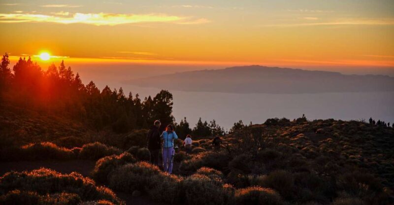 Tenerife: Sunset Volcano Teide Buggy Tour - FAQ