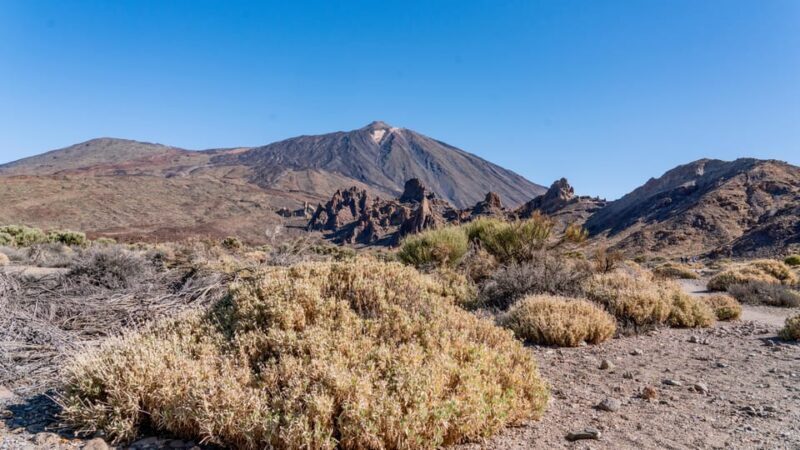 Tenerife : Teide Hiking - Who Should Consider This Tour?