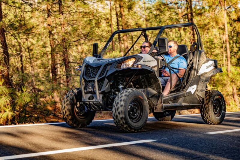 Tenerife: Teide Mountain Buggy On-Road GuidedTour with drink - An In-Depth Look at the Tenerife Buggy Tour