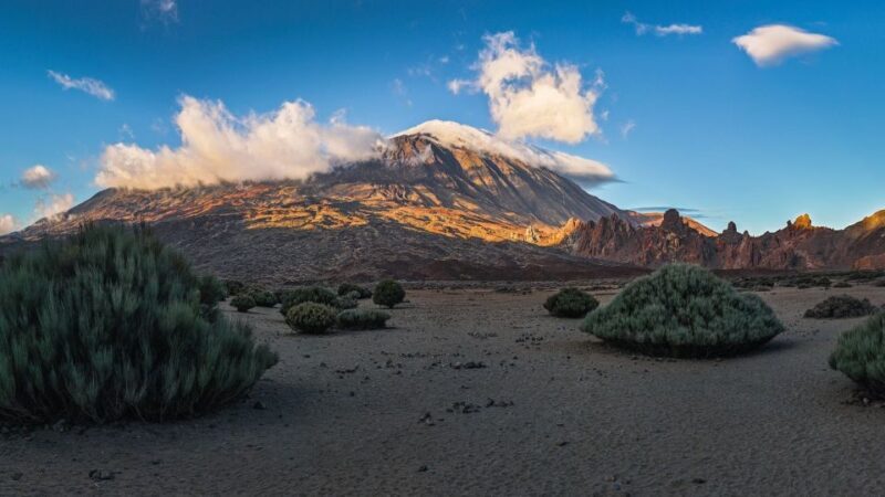 Tenerife: Teide National Park and Dolphins Sailboat Tour - Practical Details and What to Expect