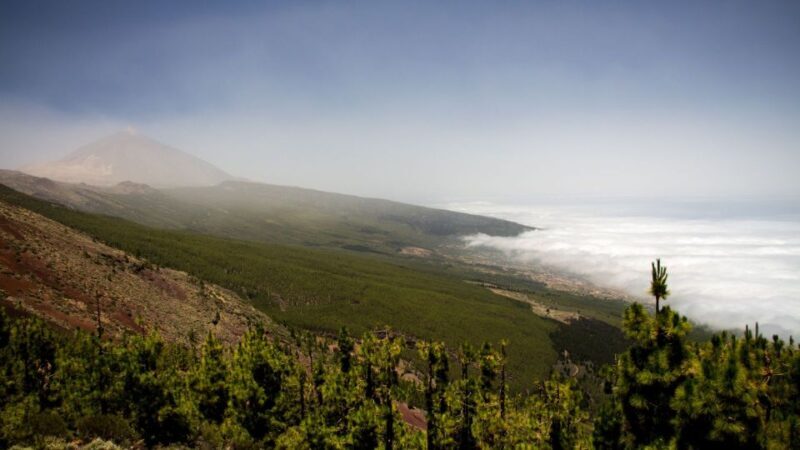 Tenerife: Teide National Park and Dolphins Sailboat Tour - Final Thoughts: Is This Tour Right for You?