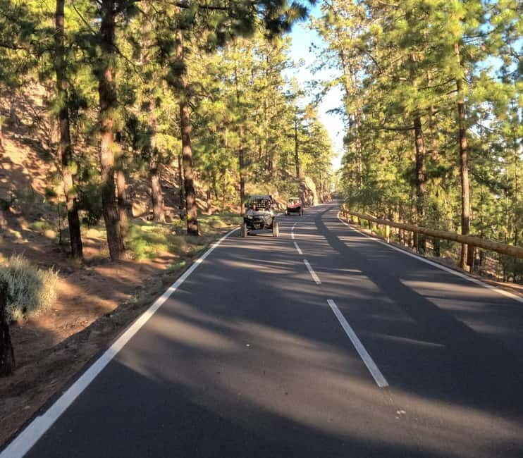 Tenerife: Teide National Park and Volcano Buggy Tour - Final Thoughts