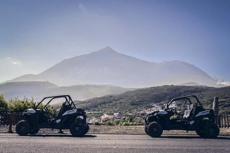 Tenerife: Teide National Park Buggy Tour with Hotel Transfer - The Experience: A Detailed Breakdown