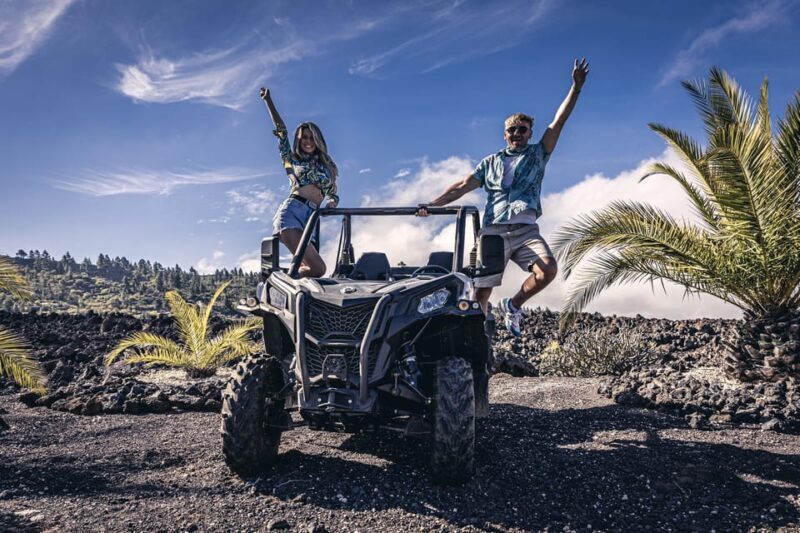 Tenerife: Teide National Park Buggy Tour with Hotel Transfer - Who Will Love This Tour?