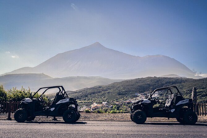 Tenerife Teide National Park Buggy Tour with Hotel Transfer - Who Will Love This Tour?