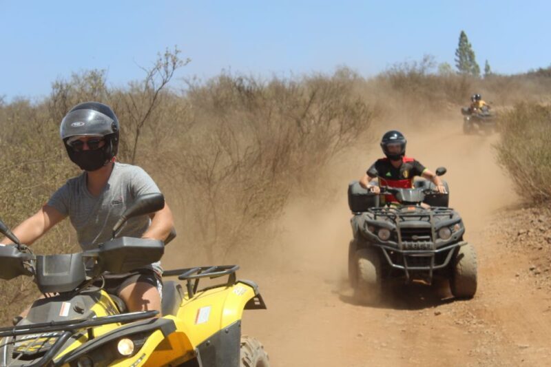 Tenerife: Teide National Park Quad Bike Tour - An In-Depth Look at the Tenerife Quad Bike Tour
