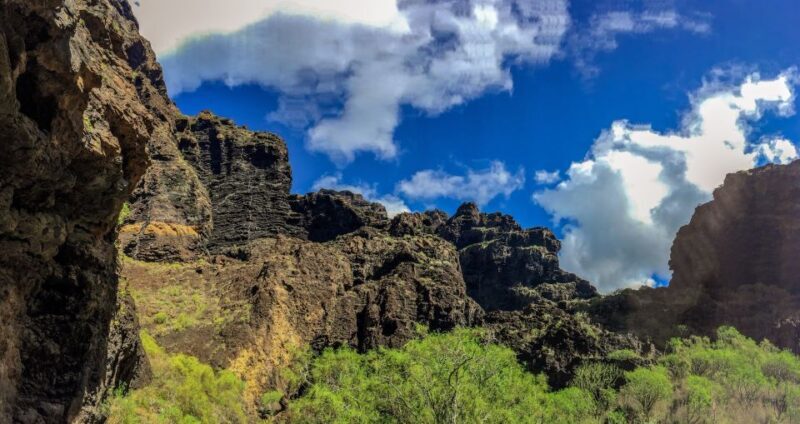 Tenerife: Teide National Park & Teno Rural Park Private Tour - The Guide & Experience Quality