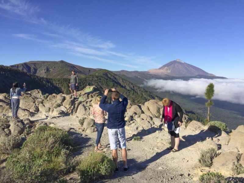 Tenerife: Teide National Park & Teno Rural Park Private Tour - Final Thoughts