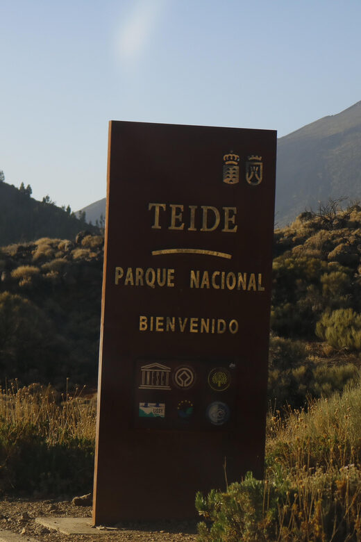 Tenerife: Teide Volcano Sunset Quad Bike Tour with Drinks - Who Will Love This Tour?