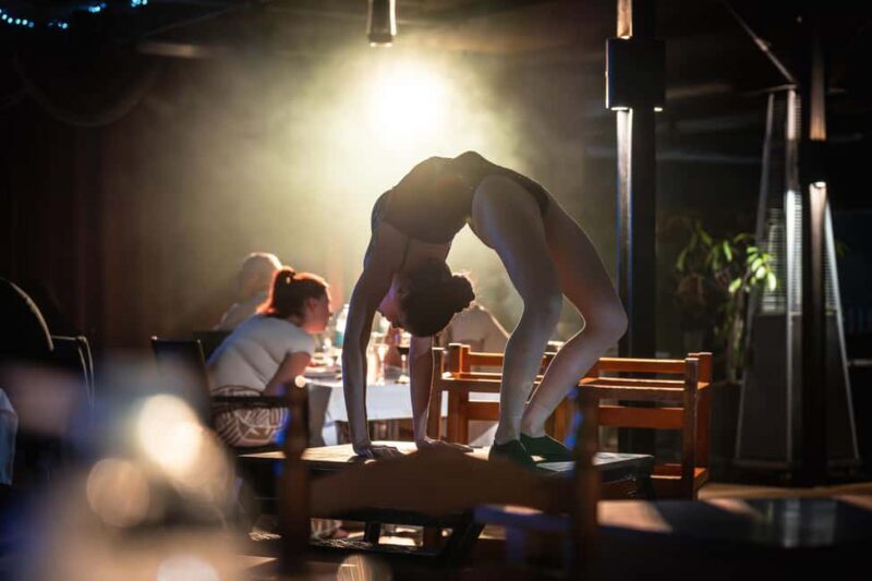 Tenerife: "The Wild South" musical show with dinner and transportation - The Sum Up