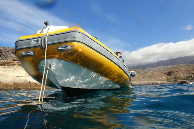 Tenerife Turtle and Snorkel Tour from Costa Adeje - The Sum Up