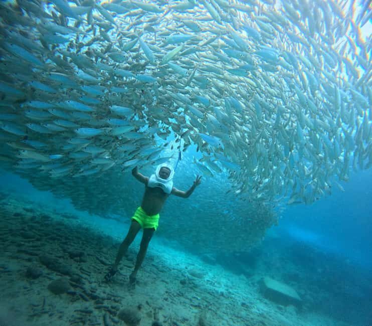 Tenerife: Underwater Walk - Sea Trek Experience - Key Points