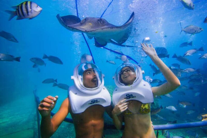 Tenerife: Underwater Walk - Sea Trek Experience - Practical Details: How to Book and What to Know